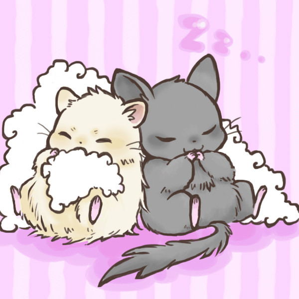 累了一整天,睡觉睡觉仓鼠不就是吃了就睡睡了就吃的嘛_(-ω-`_)⌒)