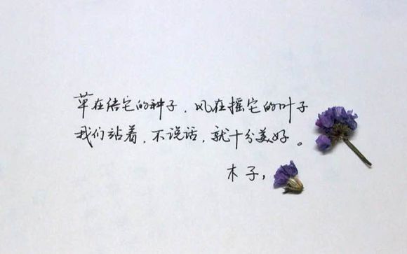 写得一手好字