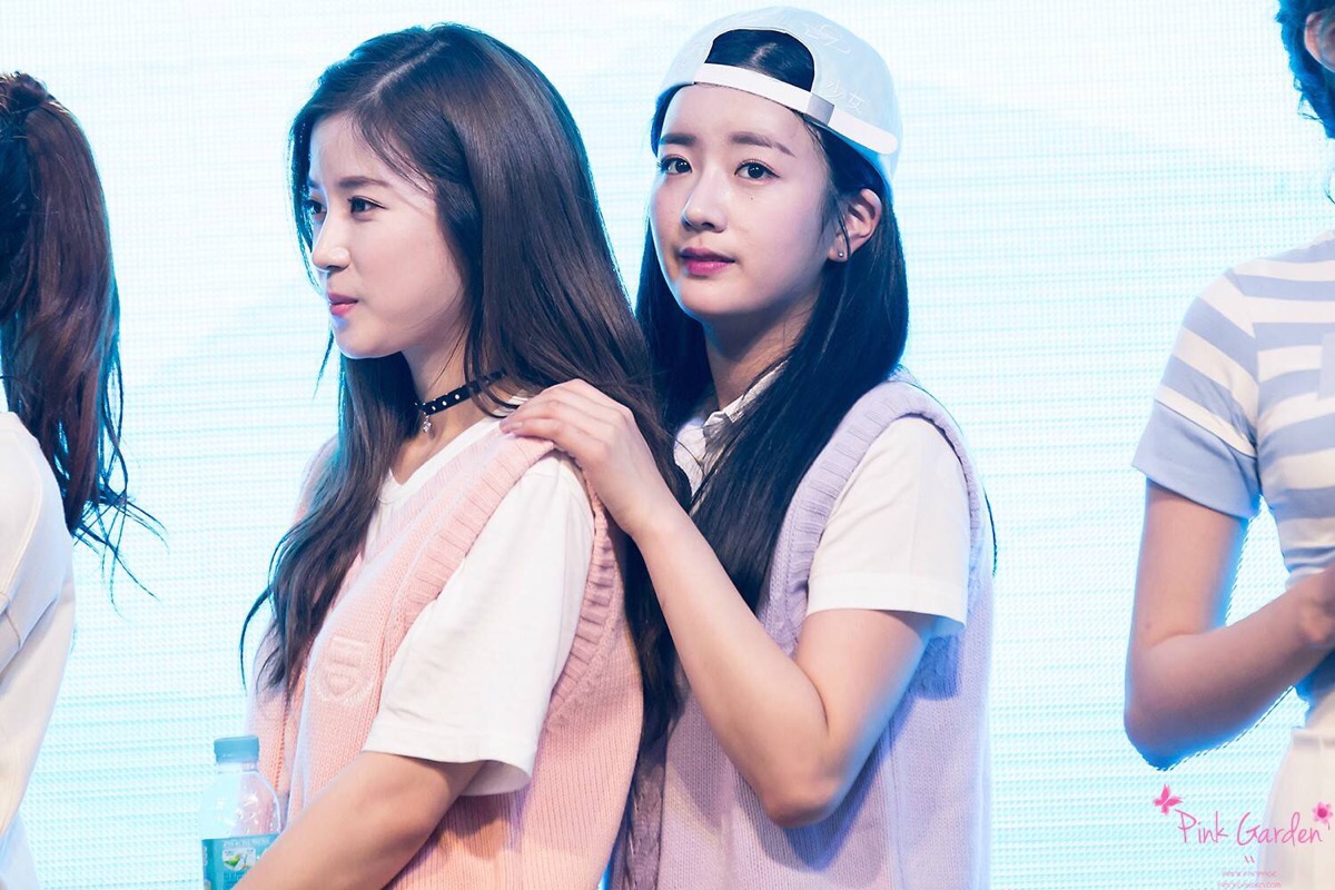 apink 朴初珑尹普美