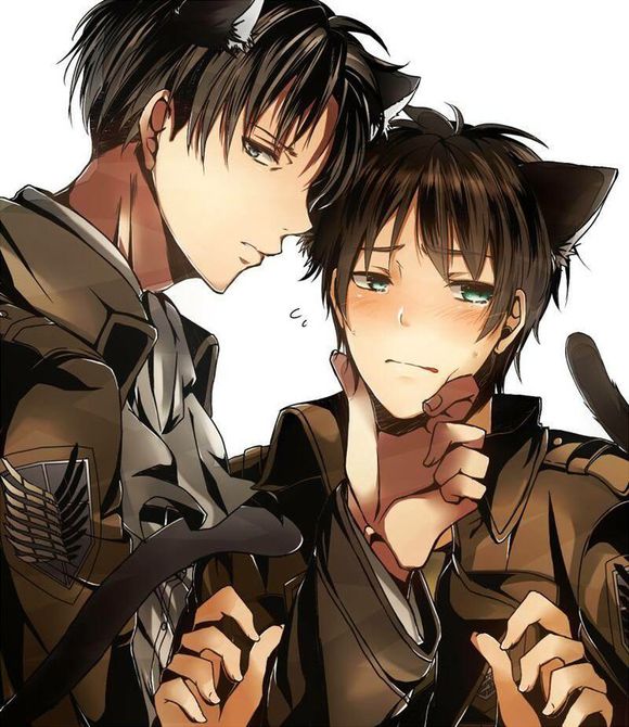 猫耳少年
