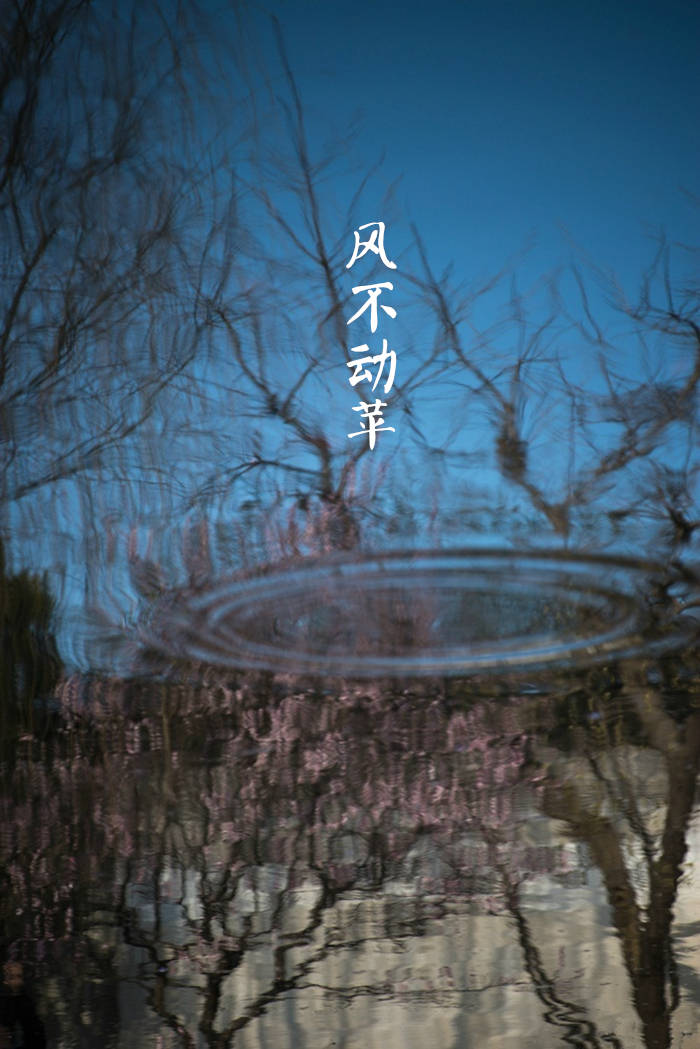 蛙鸣蝉噪,游鱼聚亭.风不动苹,鹿角解落.浮瓜沉李,栀移月影.