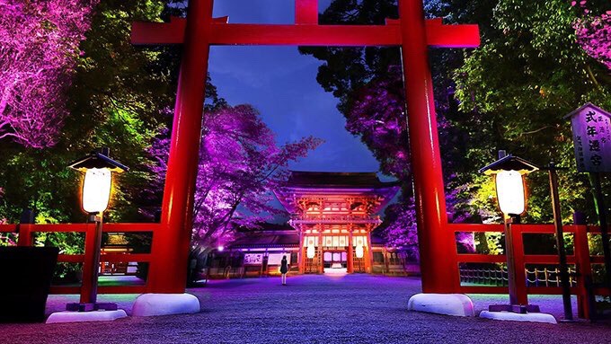 京都下鸭神社8月17号到8月31号举行的「 糺の森の光の祭」,光影交织