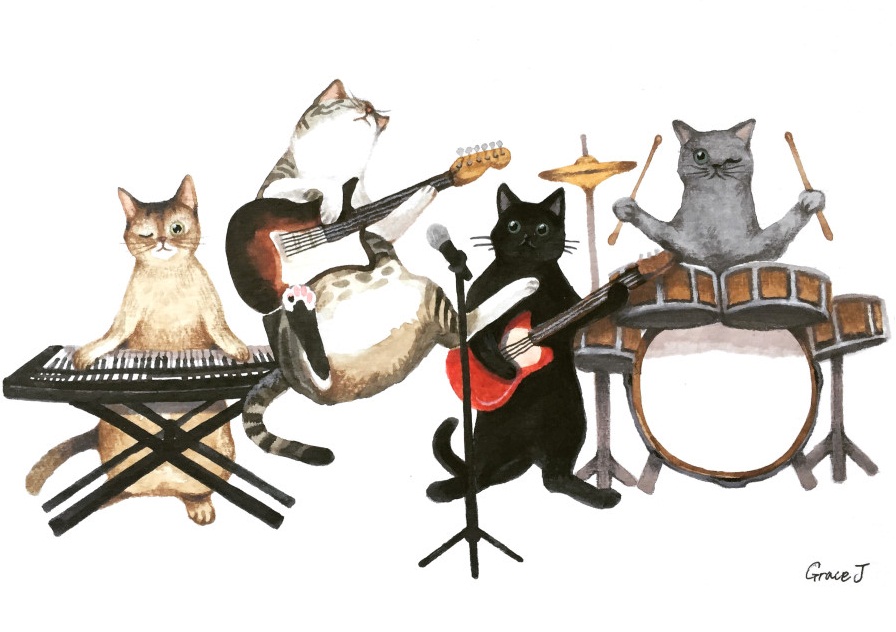 疯狂的猫乐队图片