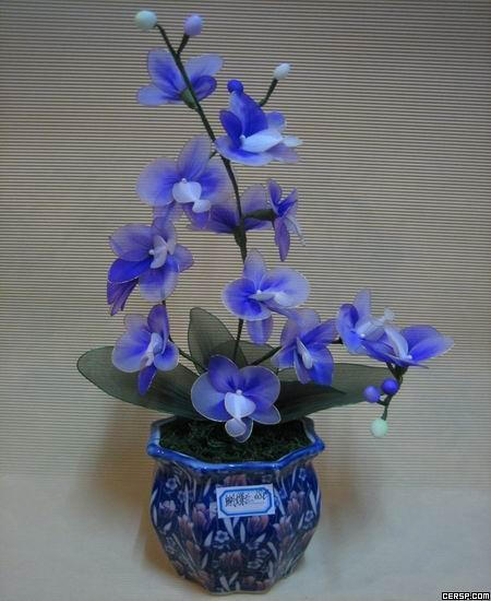 丝网花 