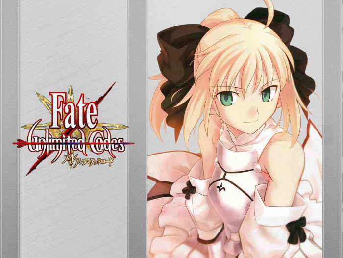 fate unlimited codes saberlily 灰色 壁纸 武内崇