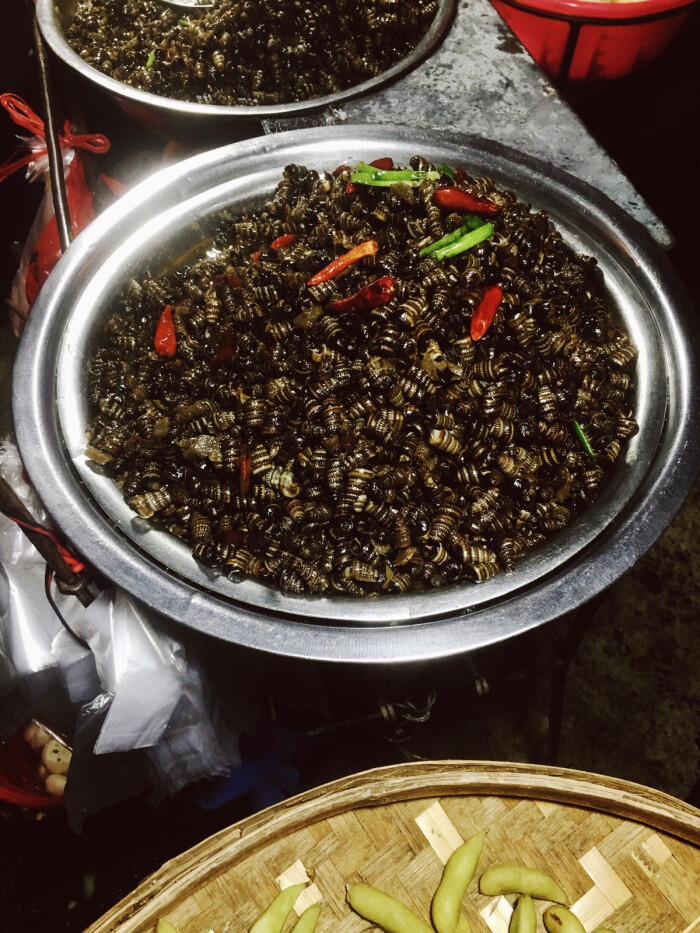 来自我们家乡的特产——"麦螺",霞浦的街头随处可见卖嗦螺的小摊,有微