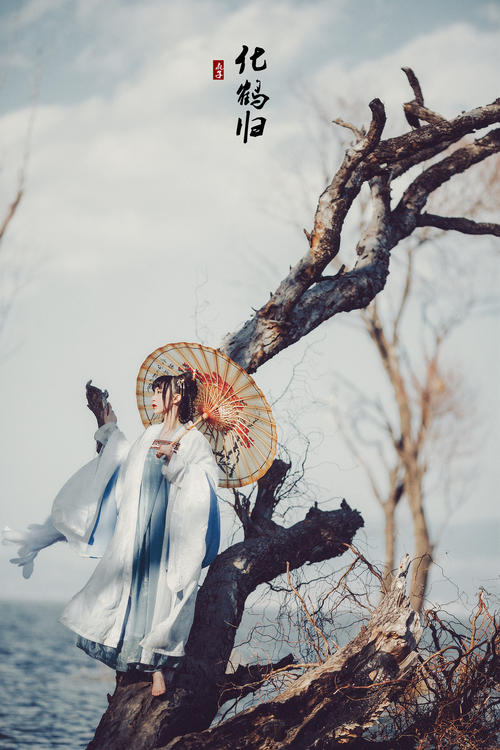 蒹葭苍苍,白露为霜 #汉服