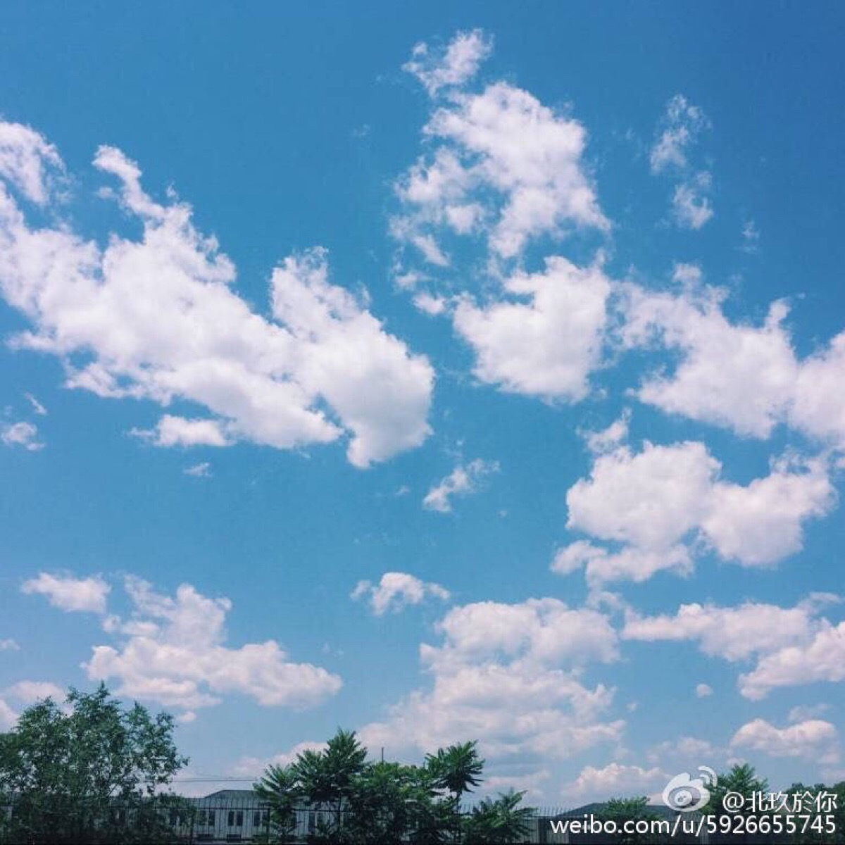最美不过是蓝天