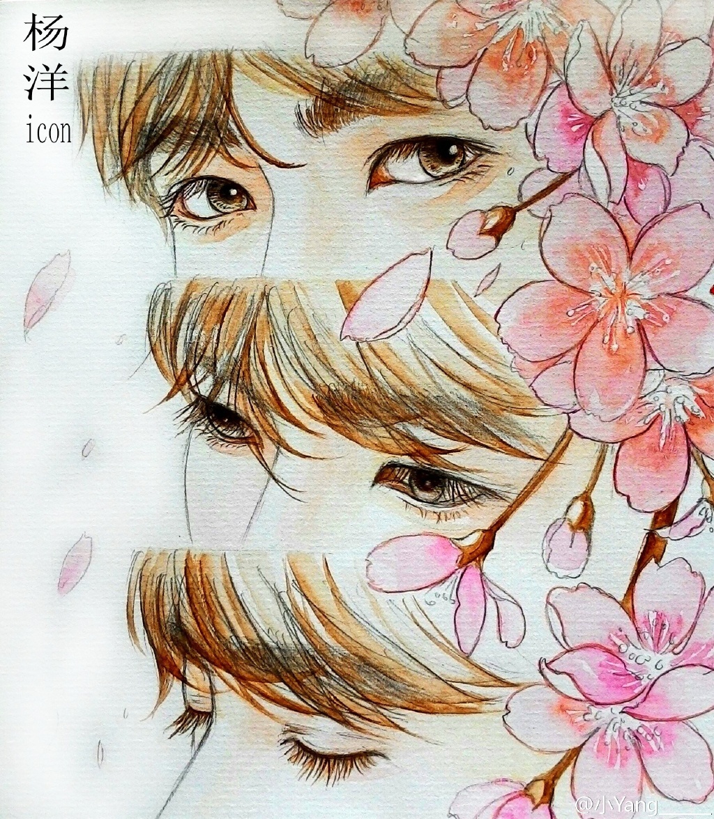杨洋 手绘