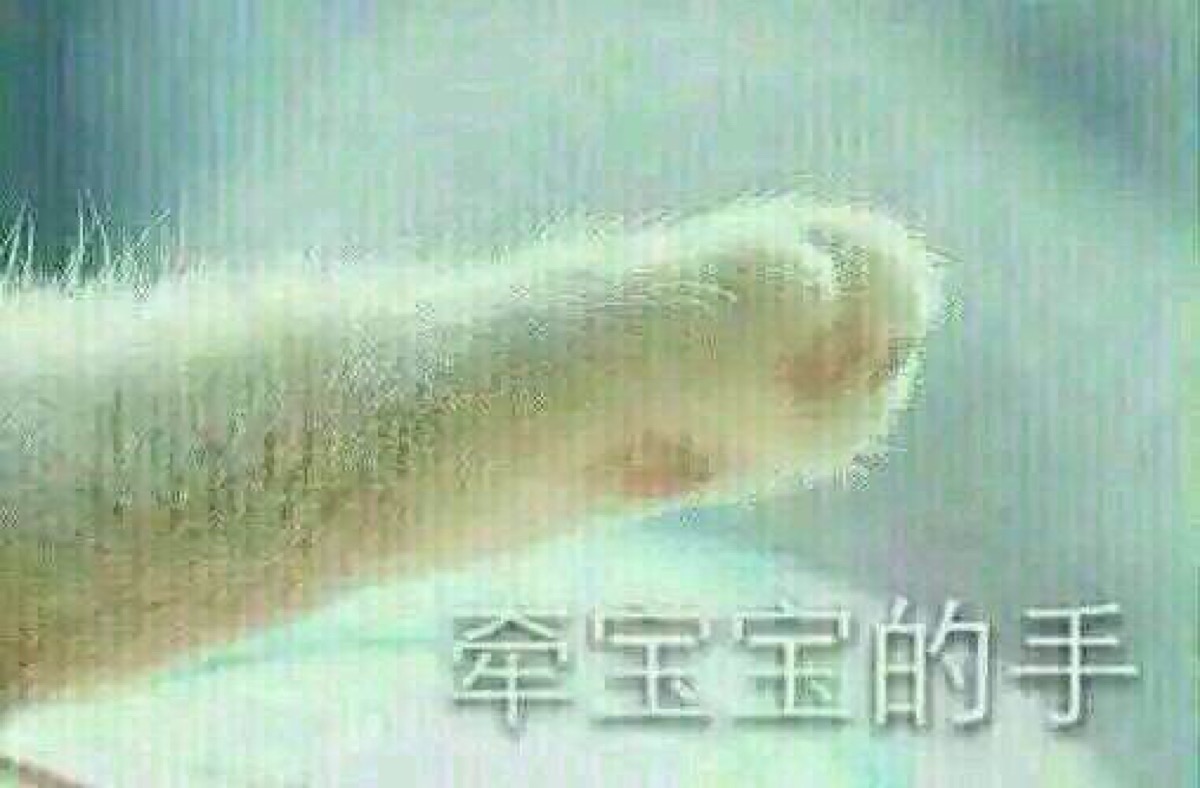 牵手套路表情包