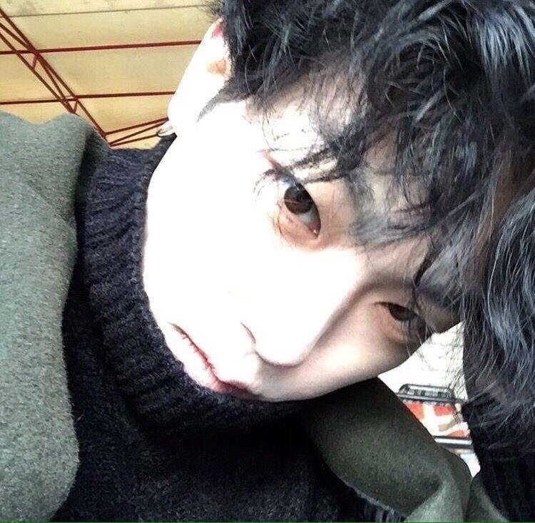 二呆辞 男生头像 韩/中 男头 chen ci -堆糖,美好生活研究所