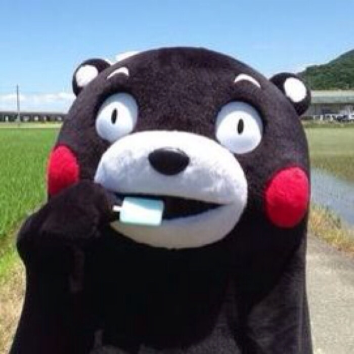 头像 方块图 熊本熊