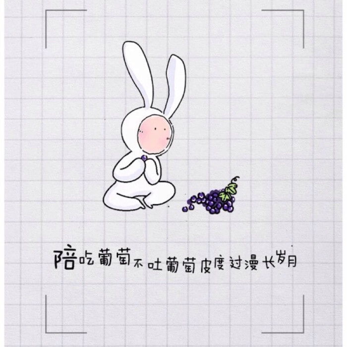 安东尼的不二兔子