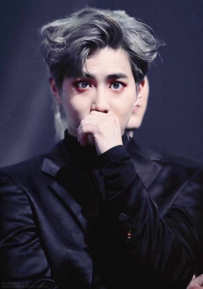 exo 金俊勉 suho