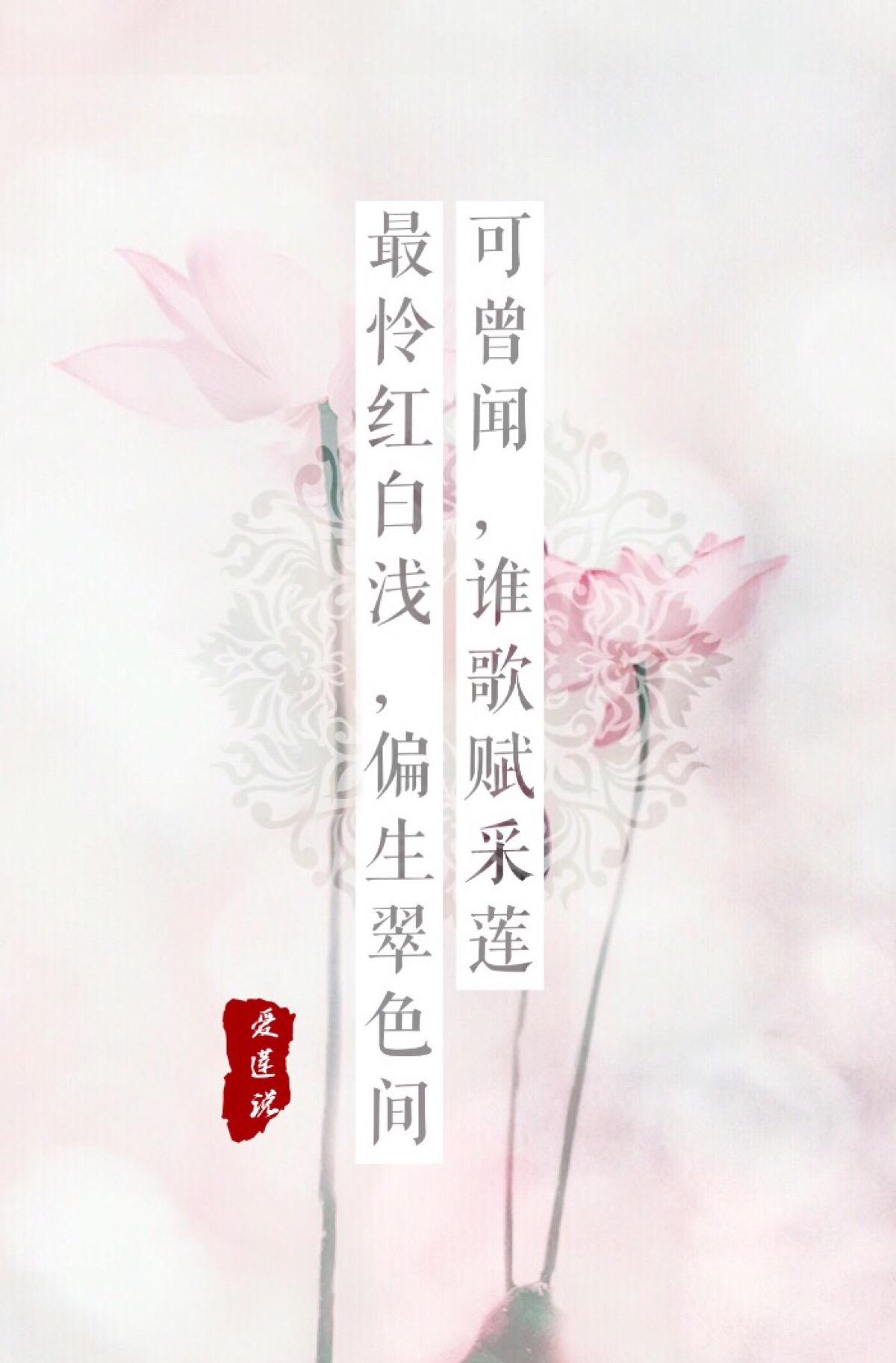古风歌词壁纸#小曲儿《爱莲说》,图/迟言