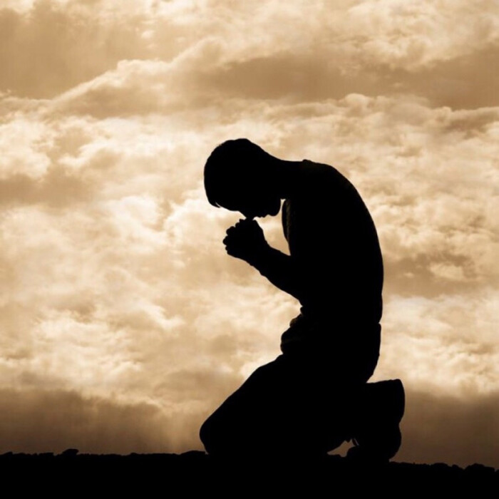 嘉博娱乐苹果手机客户端