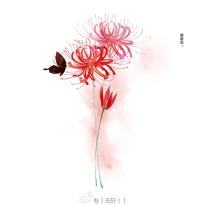 【彼岸花折纸】佛家语,荼蘼是花季最后盛开的花,开到荼蘼花事了,只剩