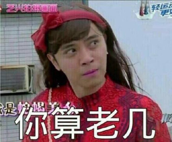 朱碧石表情包【你算老几】