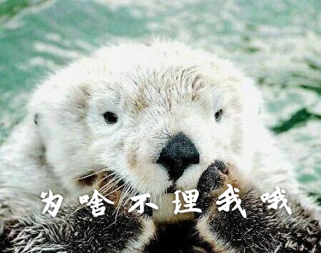 为啥不理我哦