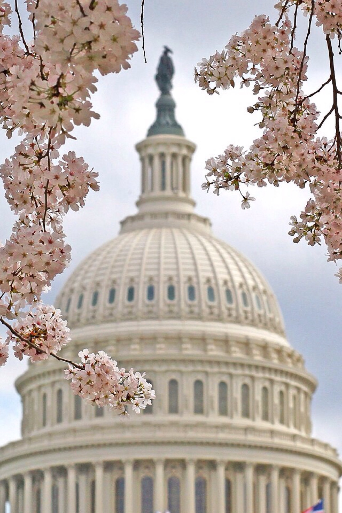 tidal basin