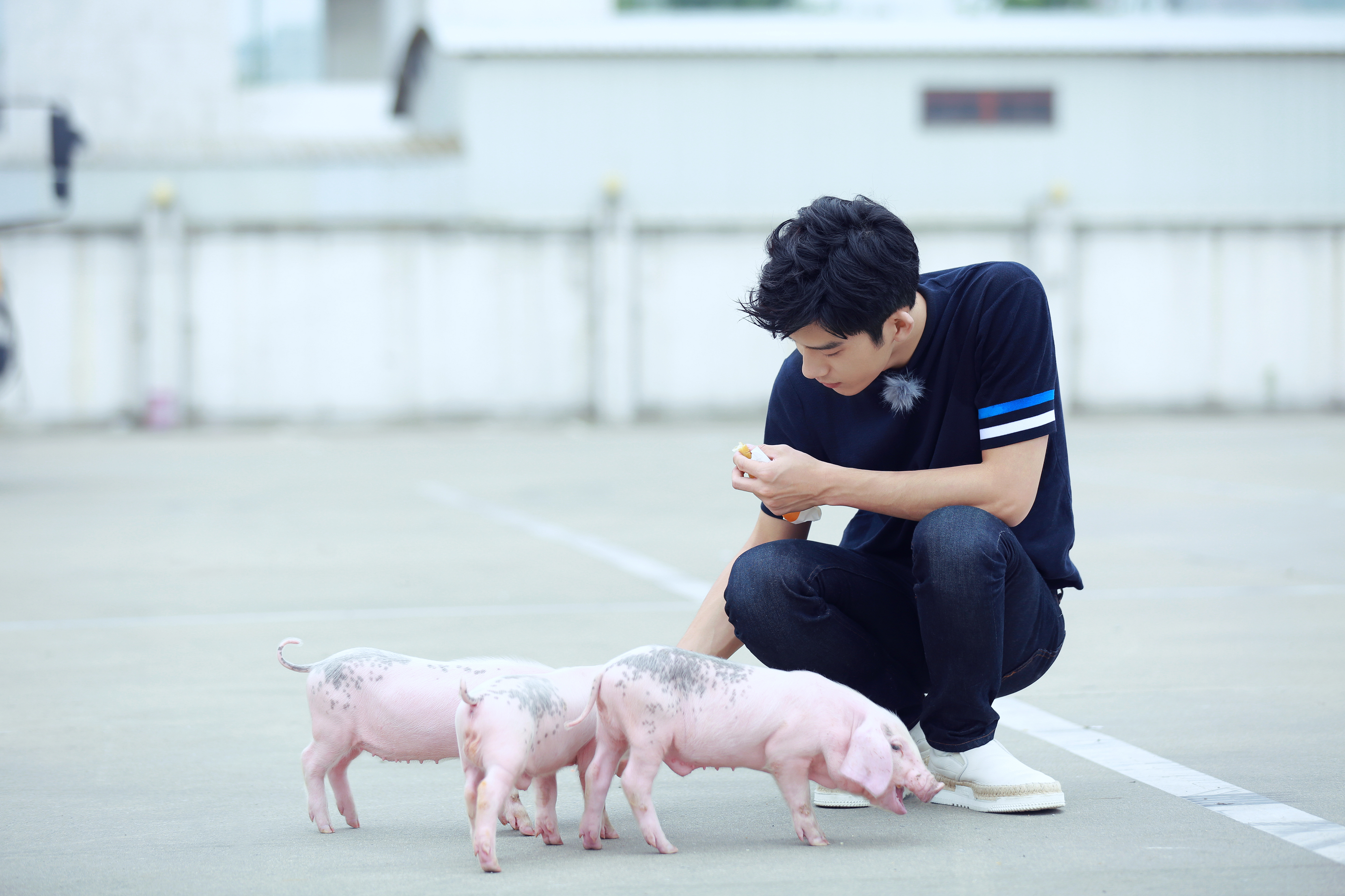 江苏卫视,7月15日起,每晚22:00,《我们战斗吧》综艺