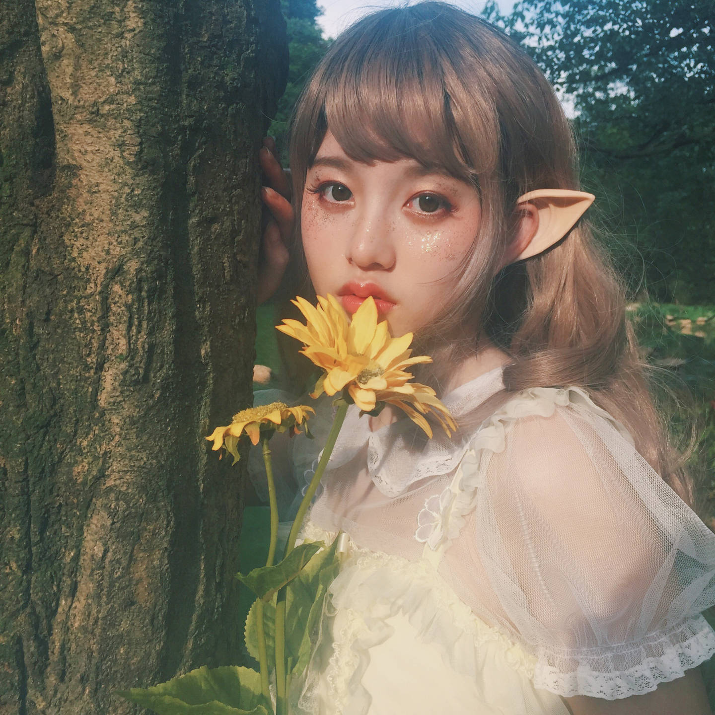 你依然是美丽的少女