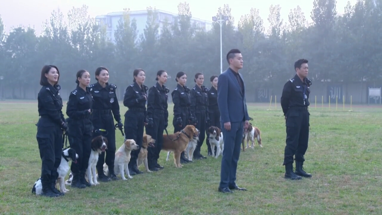 警花与警犬 电视剧 截图