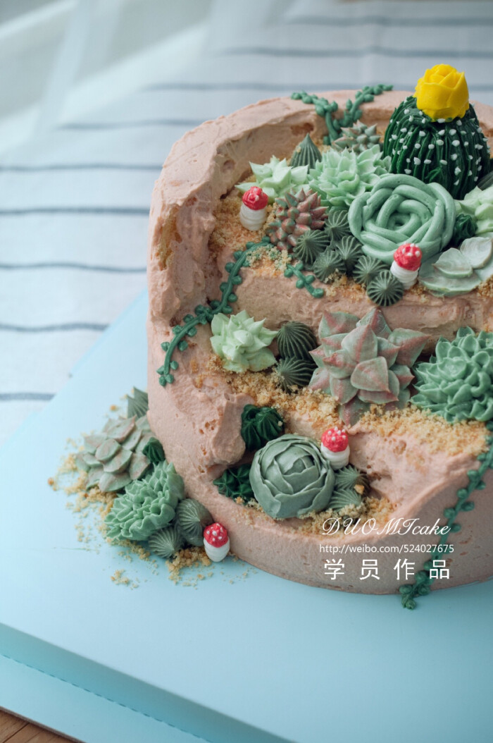 韩式裱花高级课程学员作品,新灵感萌萌哒多肉盆栽,韩式裱花多肉蛋糕