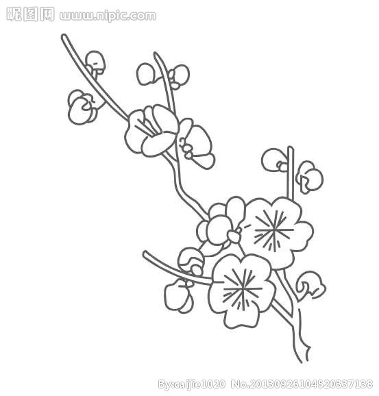 梅花素材