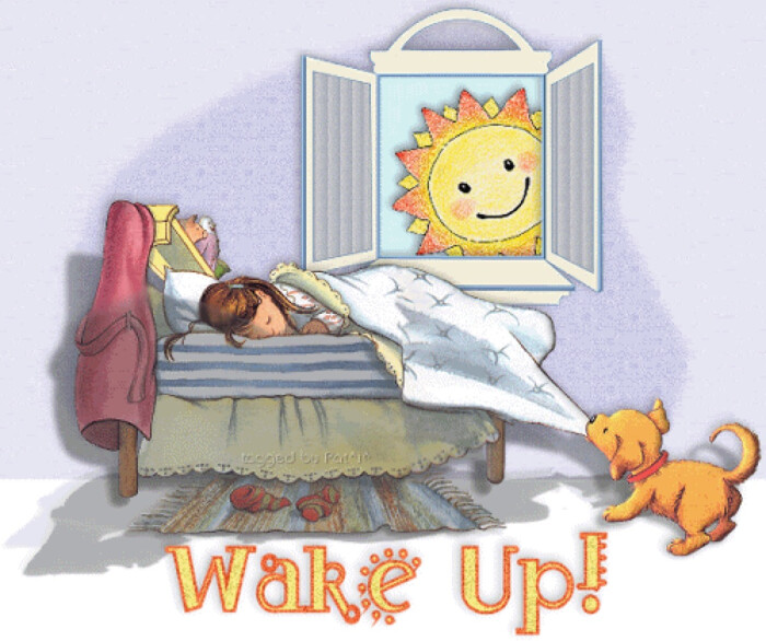 good morning 早安