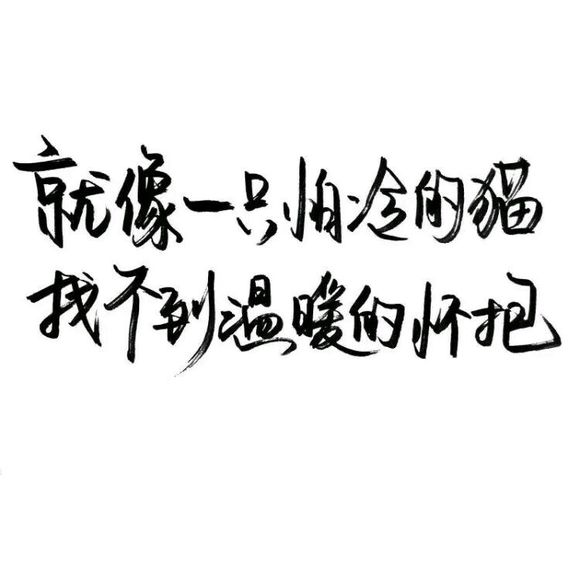 【白底黑字】文字背景,美句,手写 from: