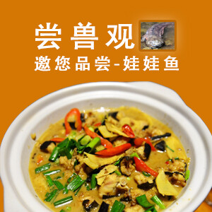 尝兽观娃娃鱼菜常熟吃大闸蟹哪里好图片