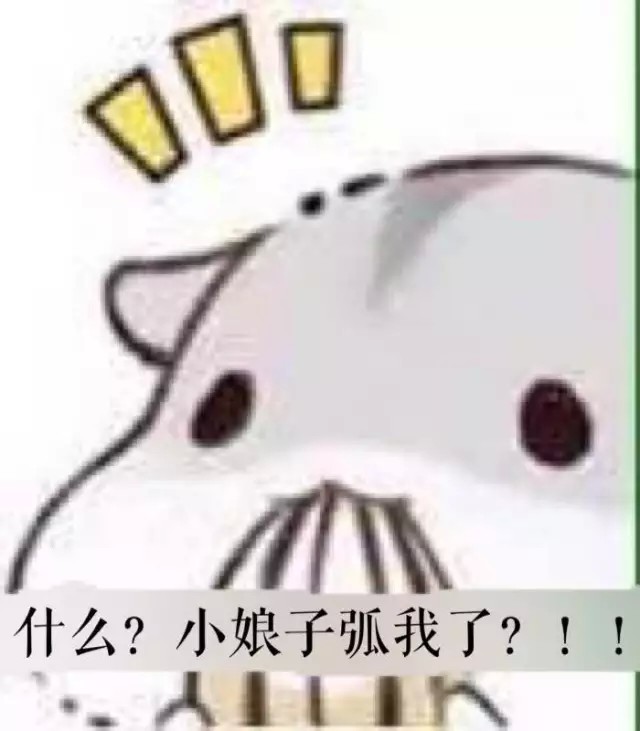 【夫君君 小娘子系列】仓鼠 抱瓜子 可爱 萌 表情包 聊天专用