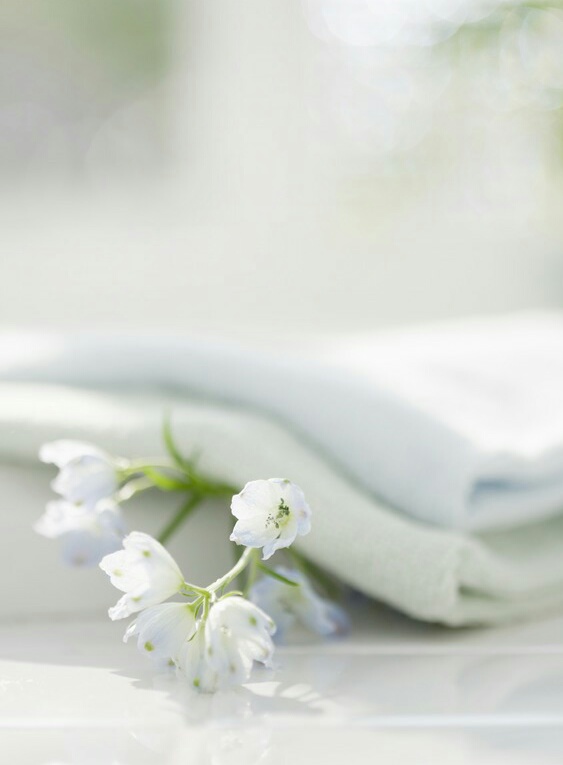 唯美 花朵 冰清玉洁 森九 仙子 清纯 花海 花束 森系 简约 壁纸 屏保