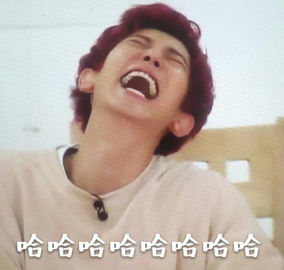 exo表情包(from:京畿道的风) 朴灿烈 chanyeol
