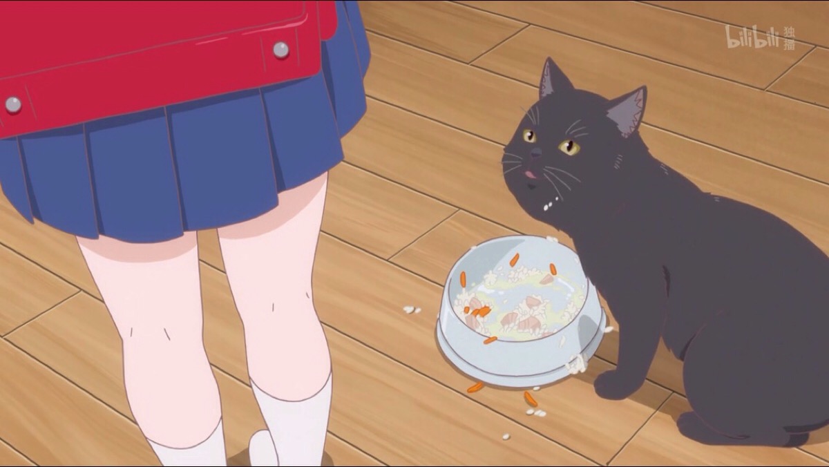 她与她的猫