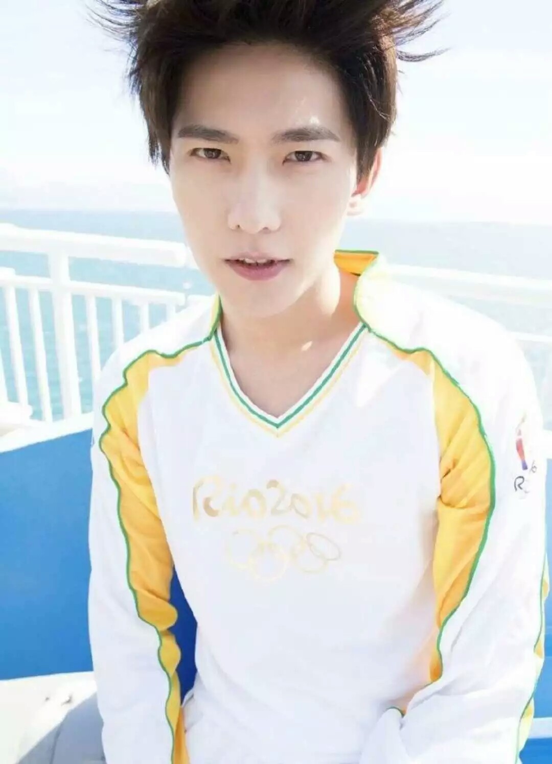 杨洋 奥运火炬手