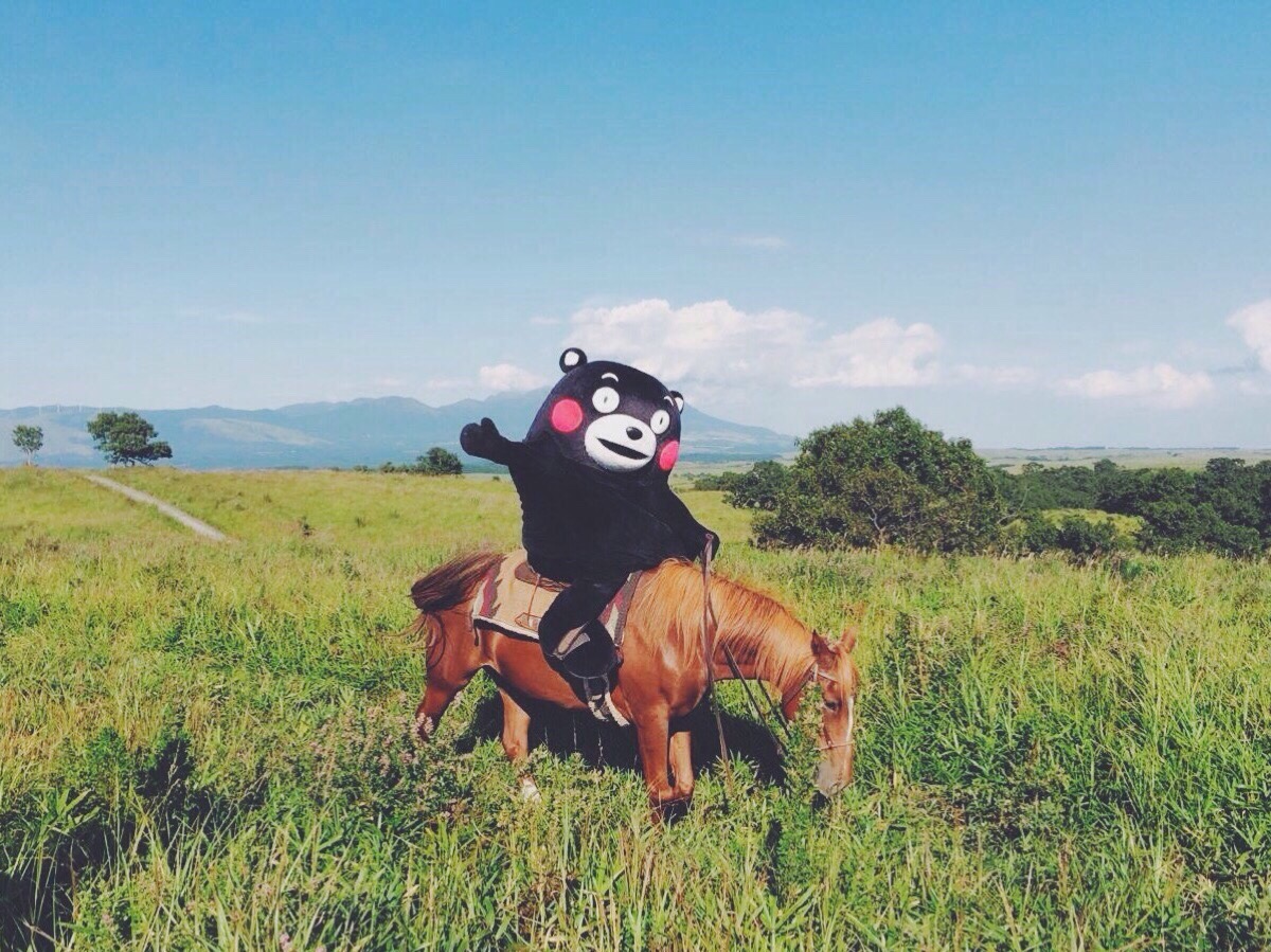 熊本熊 