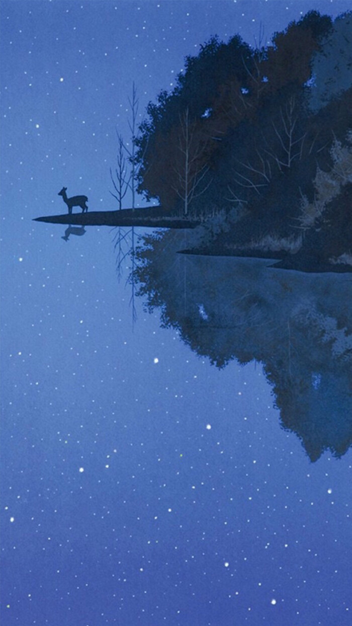 壁纸#锁屏#森林#夜晚#鹿
