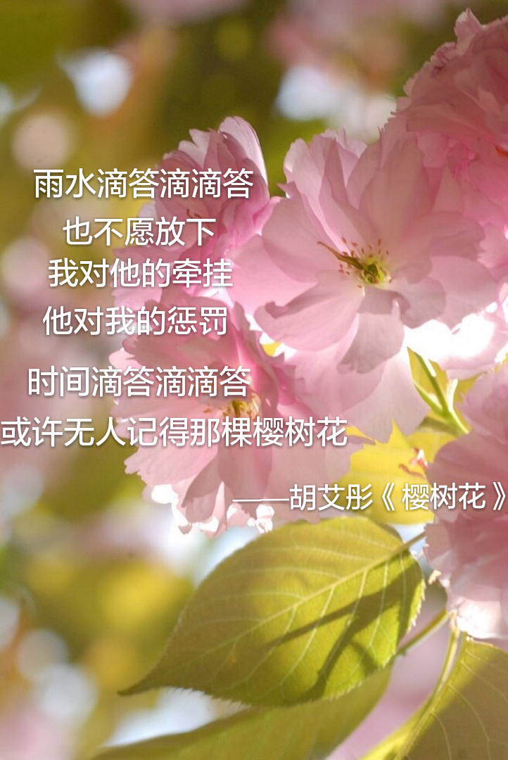 《樱树花》——胡艾彤