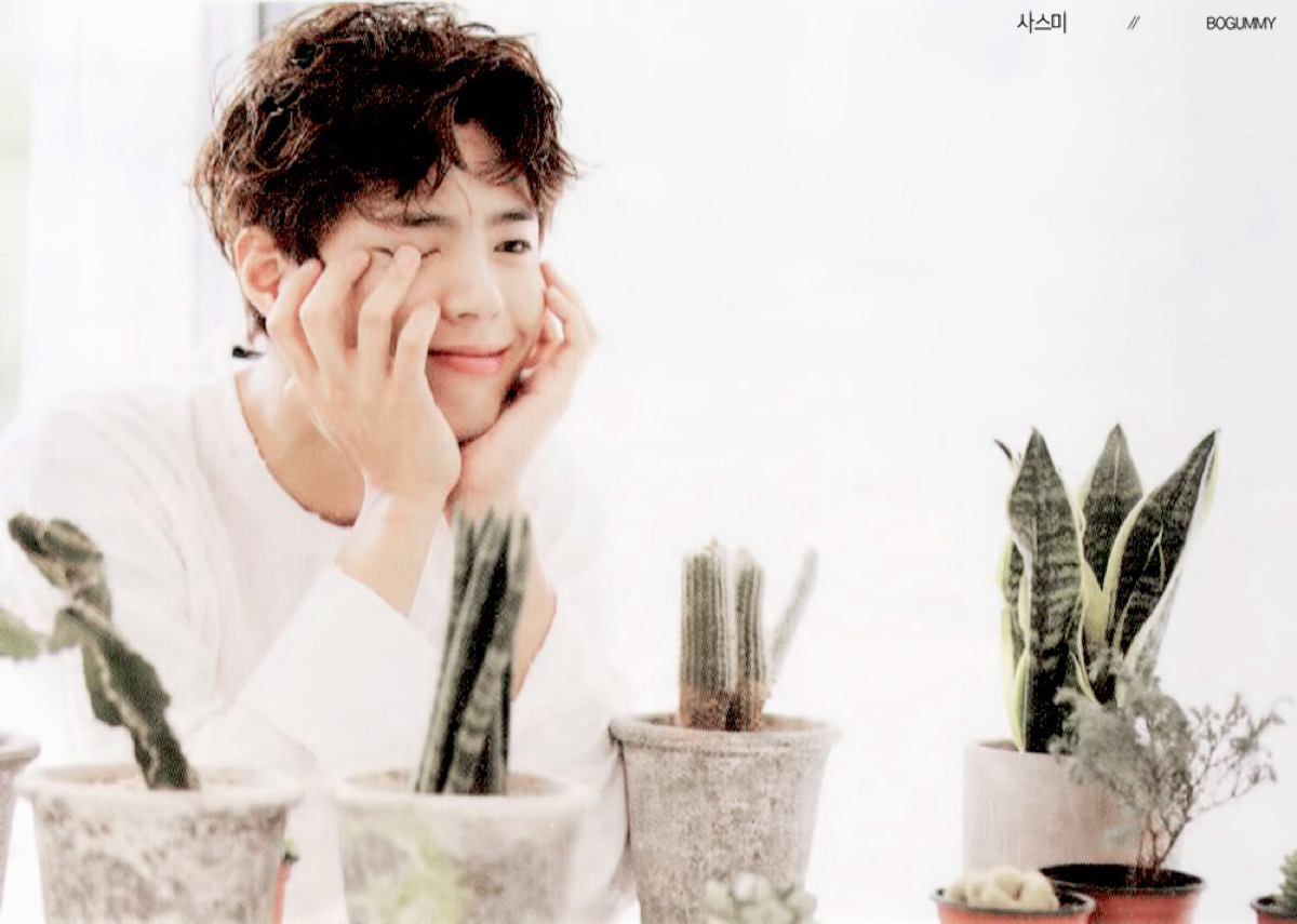 朴宝剑bogum