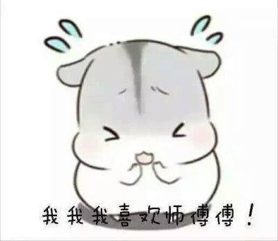 hamham可爱小仓鼠表情包