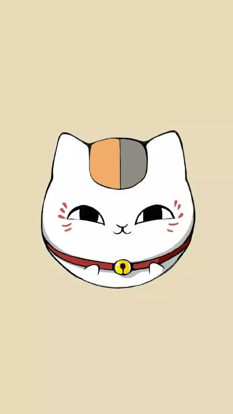 猫咪老师
