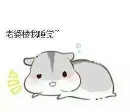 hamham情侣仓鼠表情包