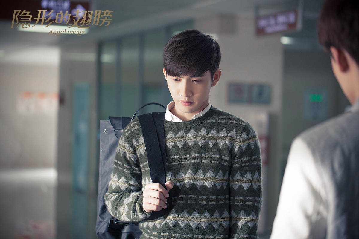 张彬彬 隐形的翅膀