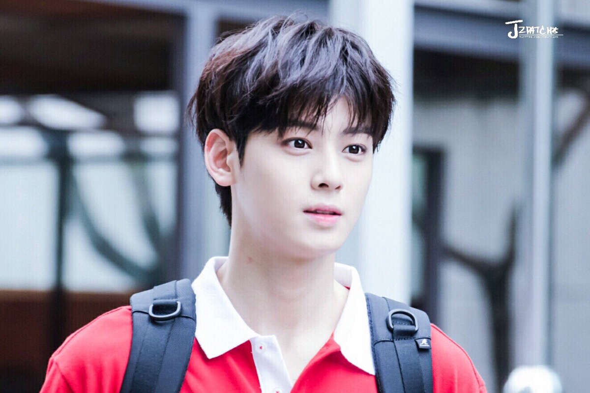 astro 车银优(公司后来发布的中文名),一开始中国最初翻译的是车恩宇