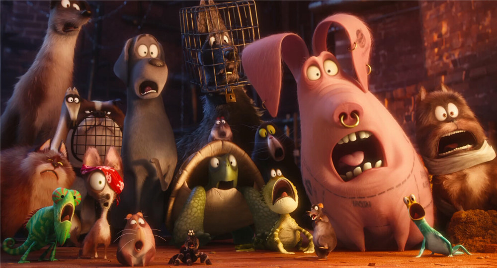 堆糖,美好生活研究所