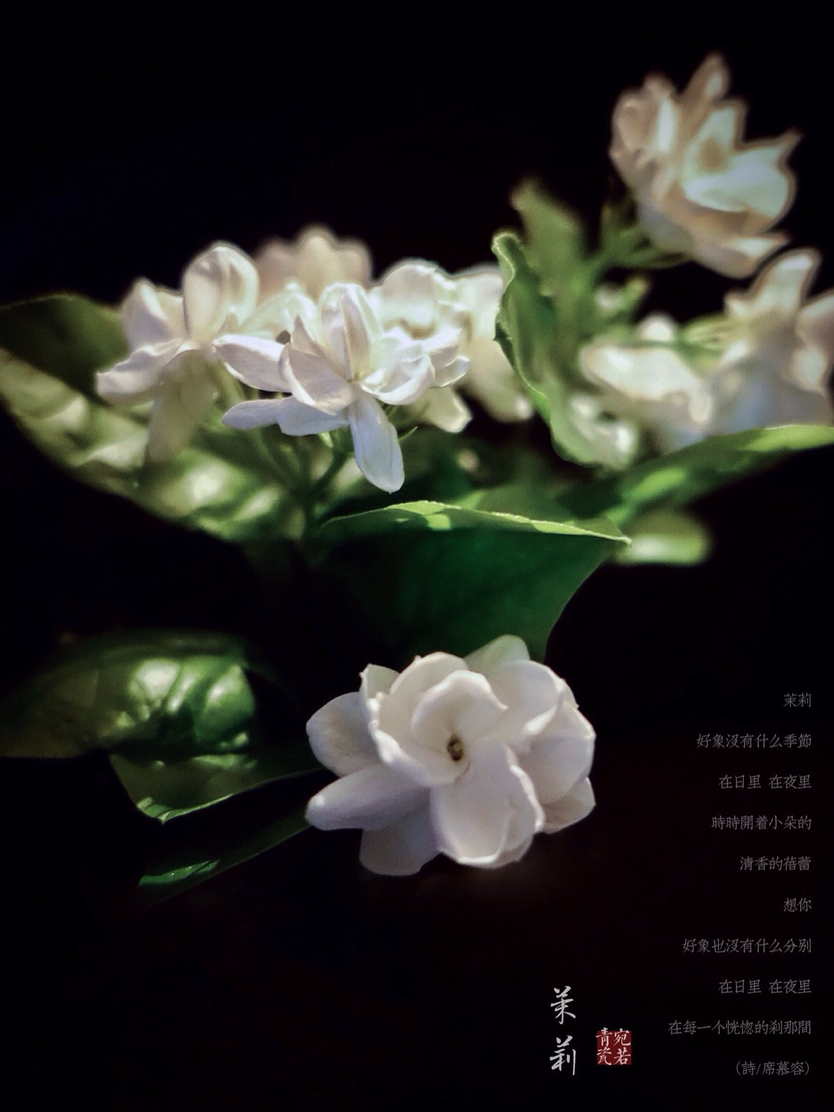 古筝茉莉花歌曲谱_茉莉花古筝谱(3)