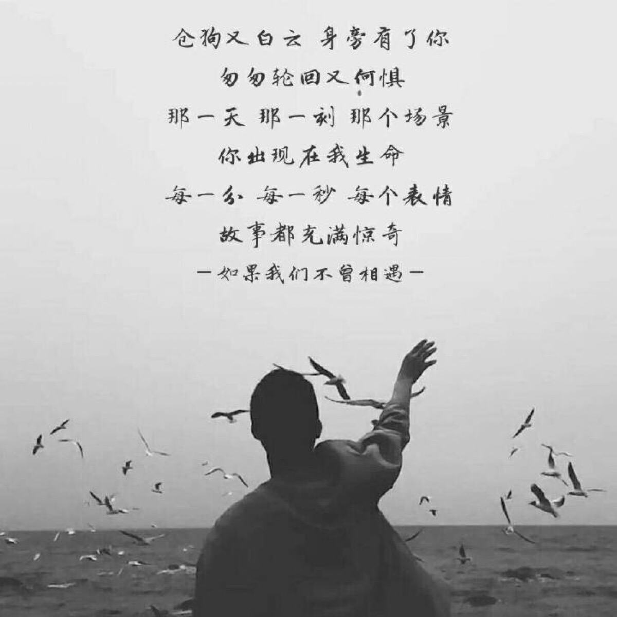 如果我们不曾相遇简谱_如果我们不曾相遇