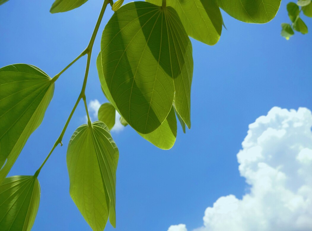 每一片天空里都是我最喜欢的生活